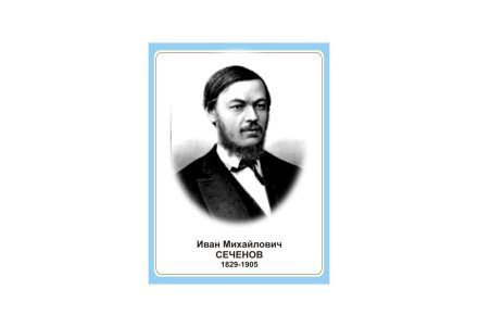 Стенд портрет Иван Михайлович Сеченов