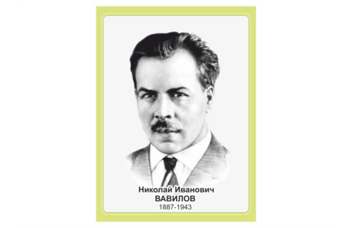 Стенд портрет Вавилов Н.И.
