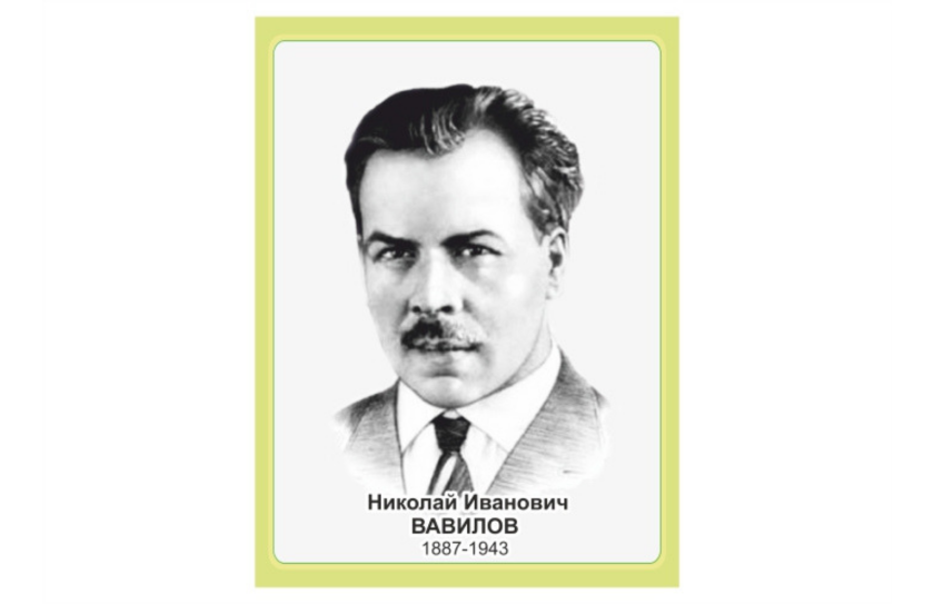Стенд портрет Вавилов Н.И.