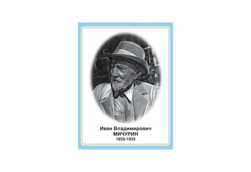 Стенд портрет Иван Владимирович Мичурин